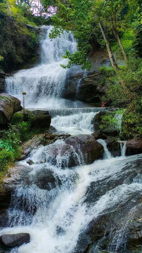 A waterfall stepping down through dense green forest